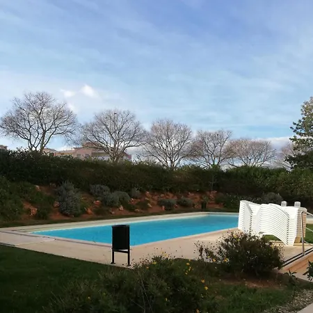 Flamingo Портіман